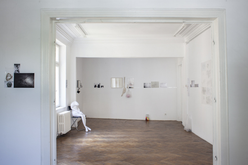 Lia Perjovschi, Timeline With Witnesses 1