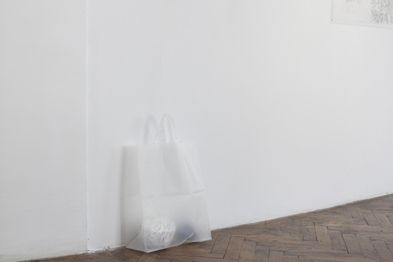 Lia Perjovschi, Timeline With Witnesses 10