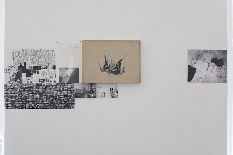 Lia Perjovschi, Timeline With Witnesses 6
