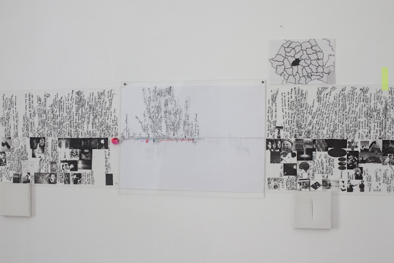 Lia Perjovschi, Timeline With Witnesses 7