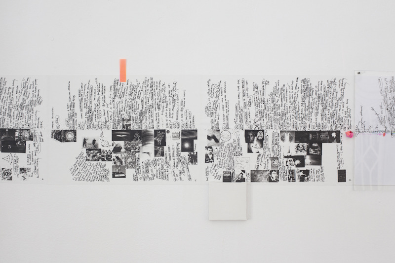 Lia Perjovschi, Timeline With Witnesses 9